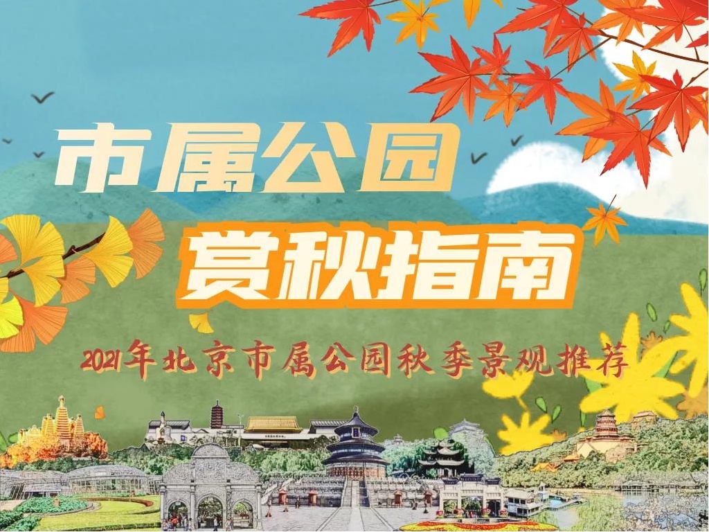 快收藏！2021年北京市属公园最全彩叶观赏指南，周末出发正好～