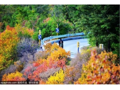 国庆京郊赏秋好去处，秋花烂漫美不胜收~