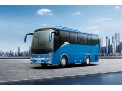 北京大巴车日租和半日租费用是多少钱? 北京大巴车日租和半日租费用是多少钱?