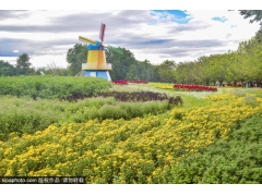 千万别错过！假期的北京太好玩了吧？园林，花海…大多免费！