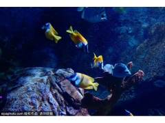 50张年票免费送！80多家景区敞开玩儿，国庆就可以安排！