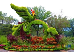 北京植物园第29届市花展开幕 北京植物园第29届市花展开幕